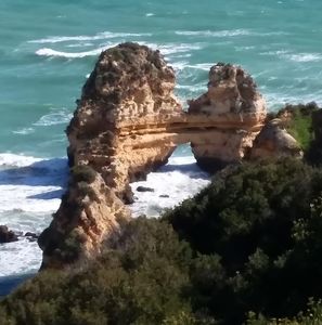 Meet your Posher, Terry